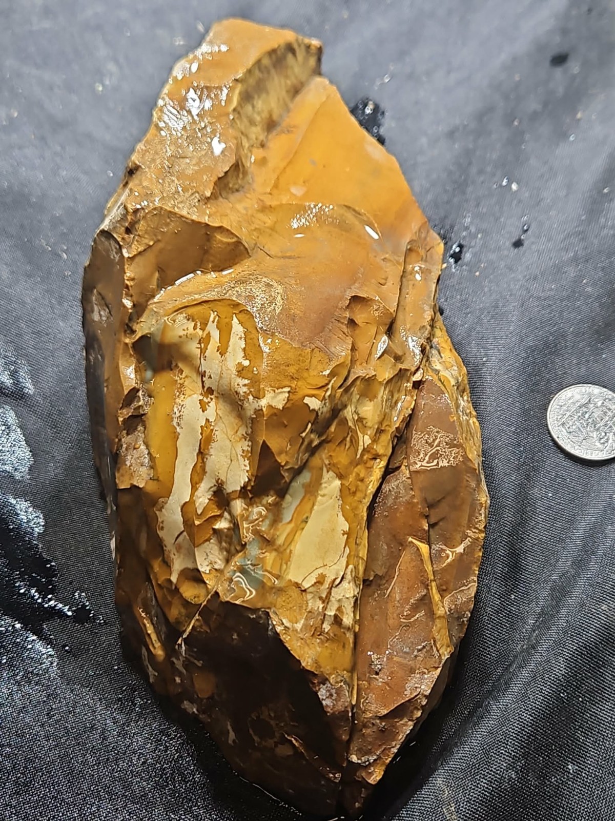 Oregon Picture Jasper Specimen (3lbs 4oz) Measures 8 in x 4 in x 3 in