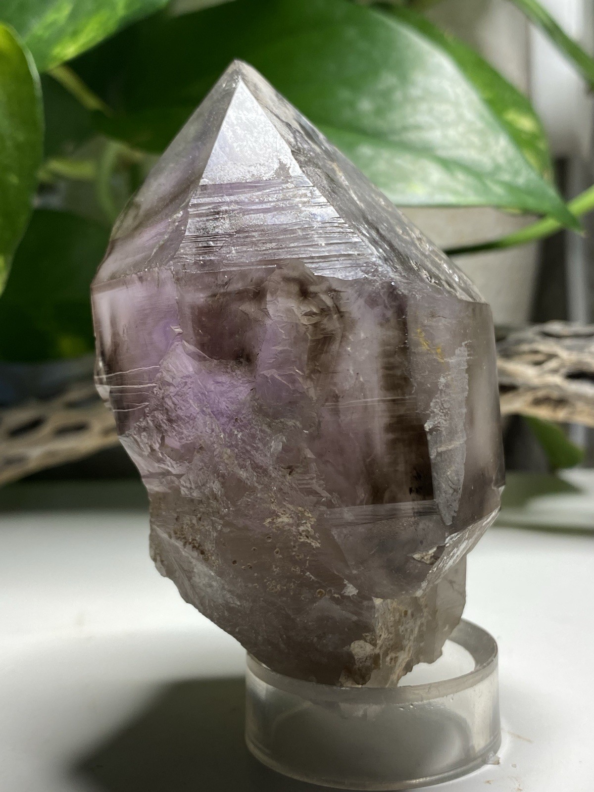 269 Gram Large Smoky Amethyst Scepter – Namibia, Africa