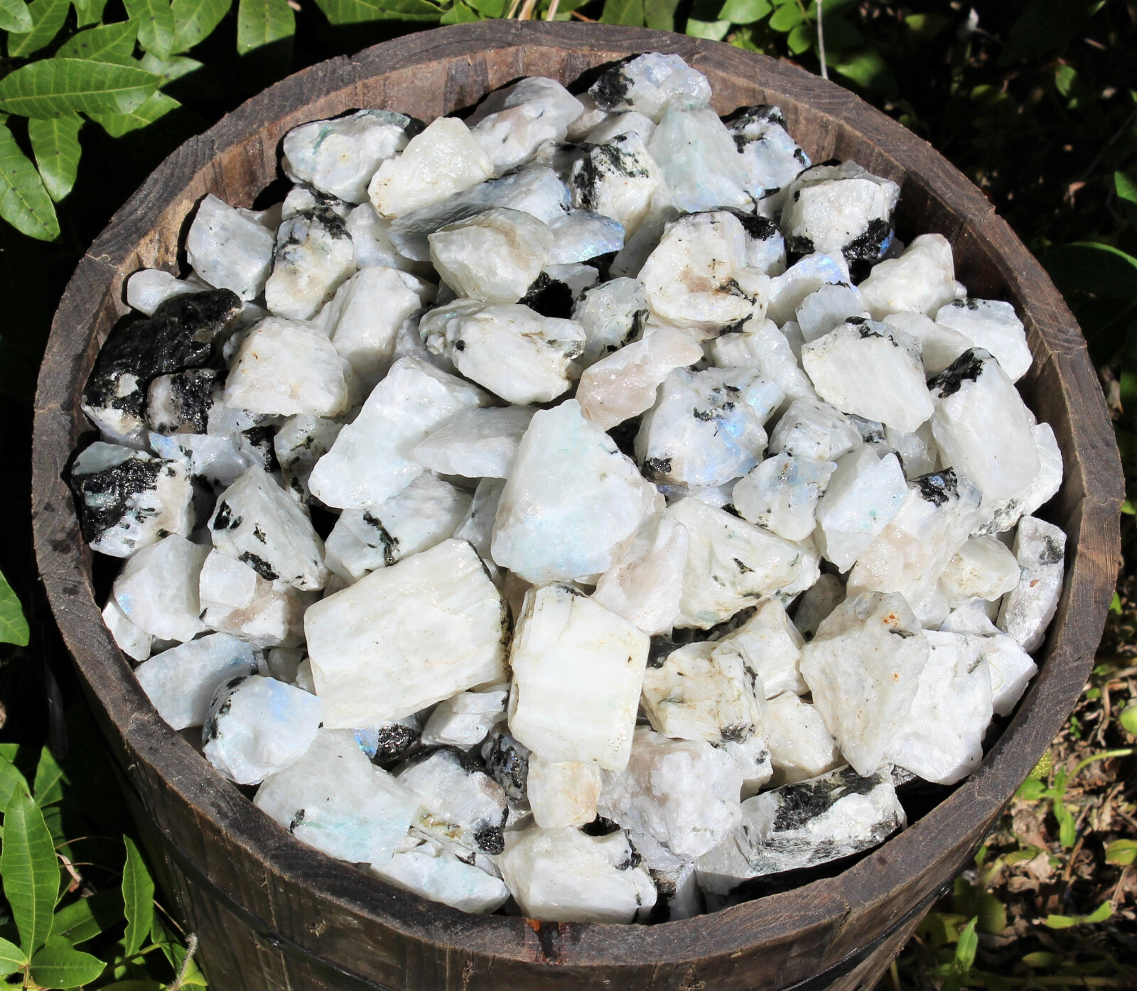 500 Carat Lot Natural Rough Rainbow Moonstone Crystals (Raw Stone, 100 Grams)