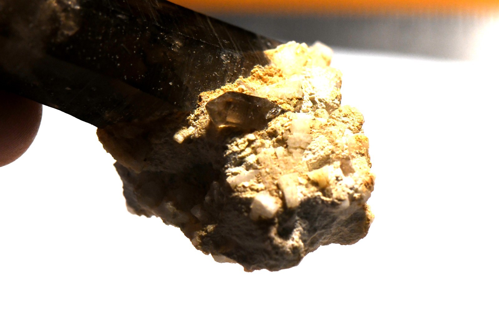 #31 Very Dark Smokey Quartz Crystal Sawtooth Mts Idaho 3.6 x 1.5 x 2.0 inches