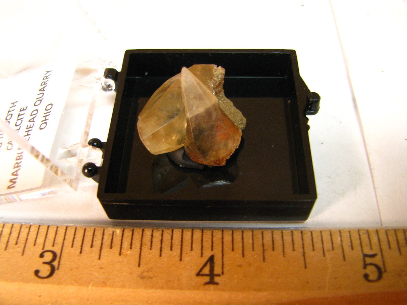 GOLDEN DOGTOOTH CALCITE CRYSTALS THUMBNAIL IN CASE MARBLEHEAD QUARRY OHIO #037