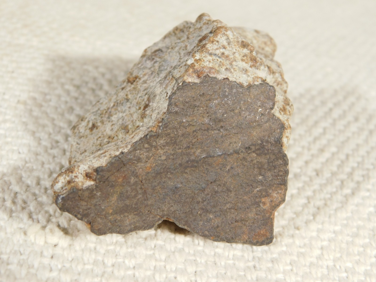 Classified NWA 8245 METEORITE 100% Natural FELL on Erfoud, Morocco 110gr