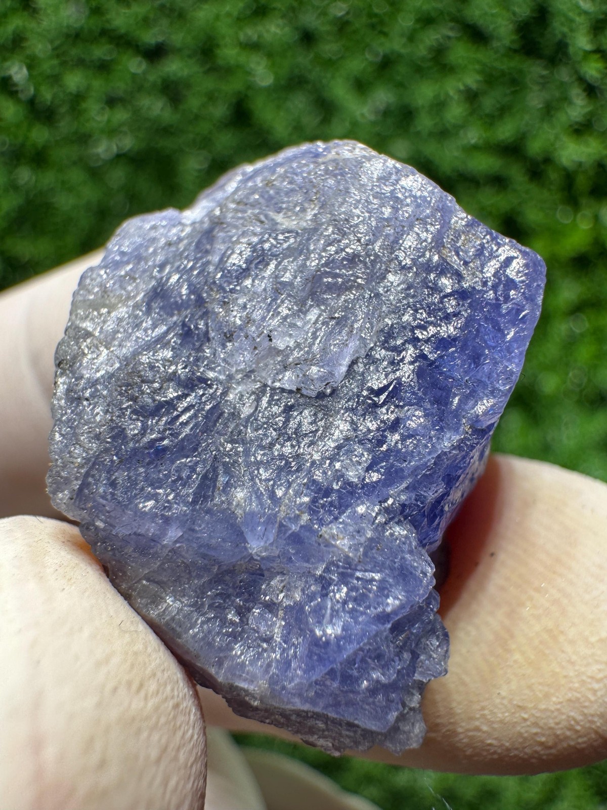 Amazing TANZANITE Crystal with COLOR CHANGE under yellow/white light / N441