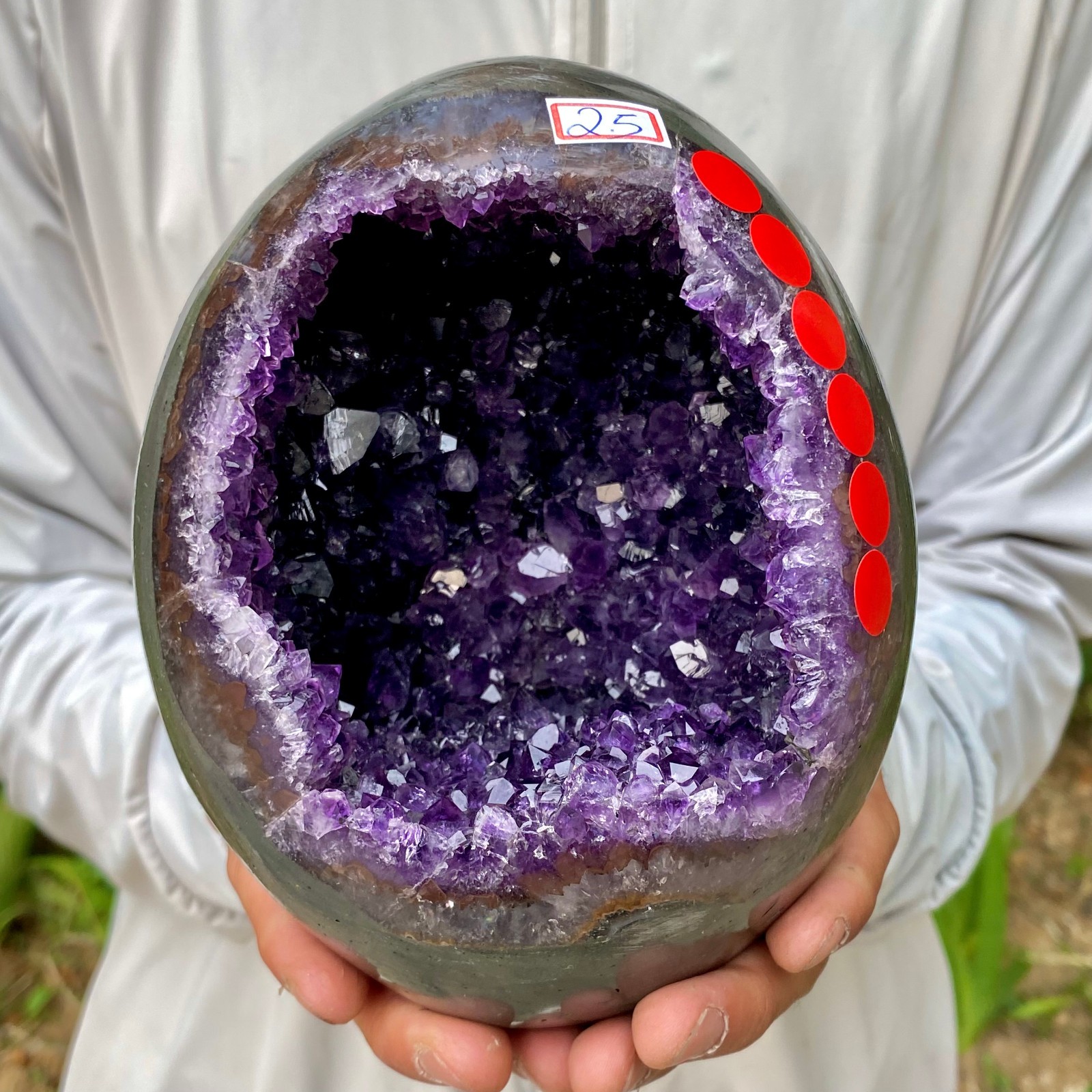5.48LB Natural amethyst Dinosaur egg Quartz Crystal specimen healing
