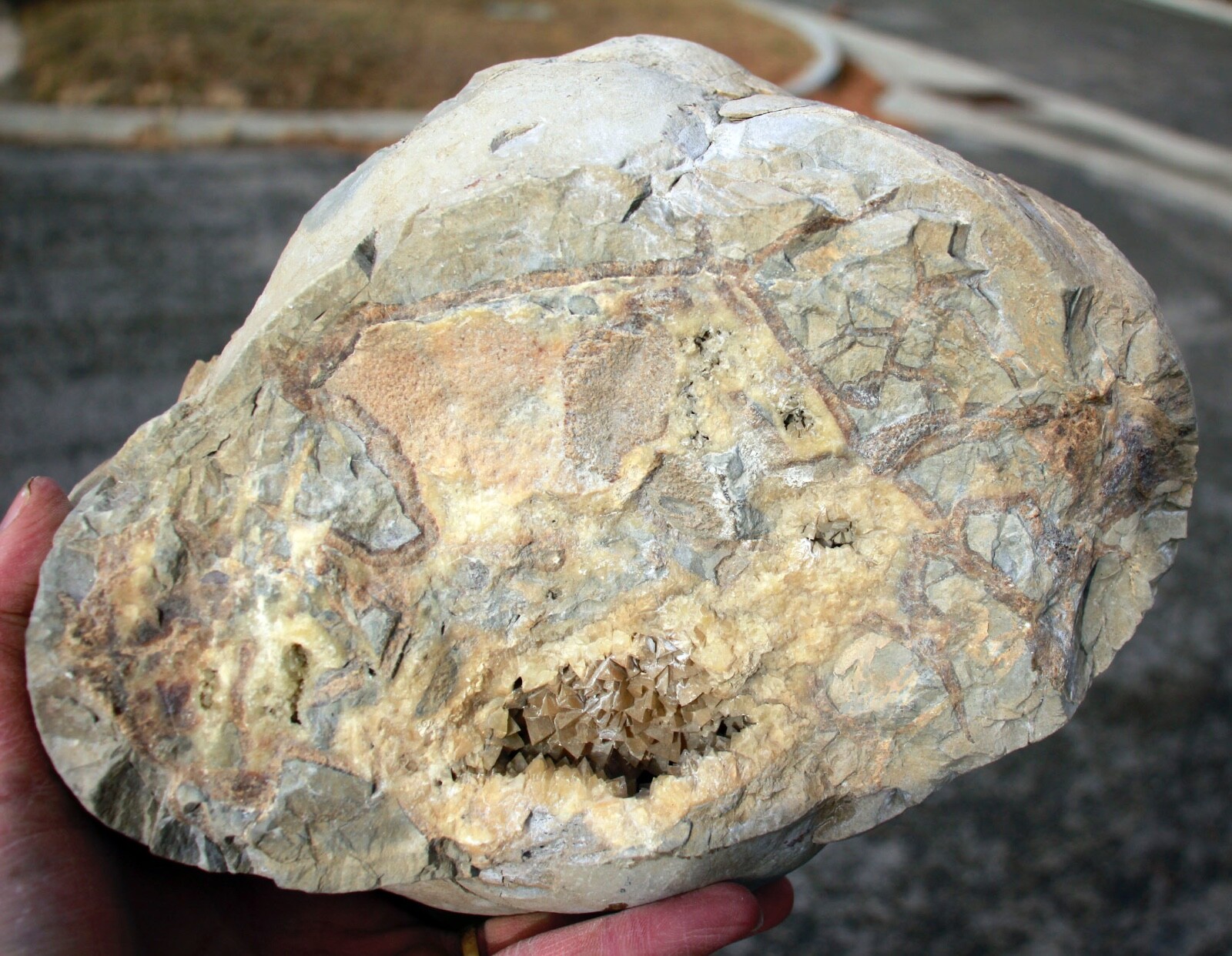 Crystal Filled, Polished Septarian Geode from Utah • 12.1 lbs.