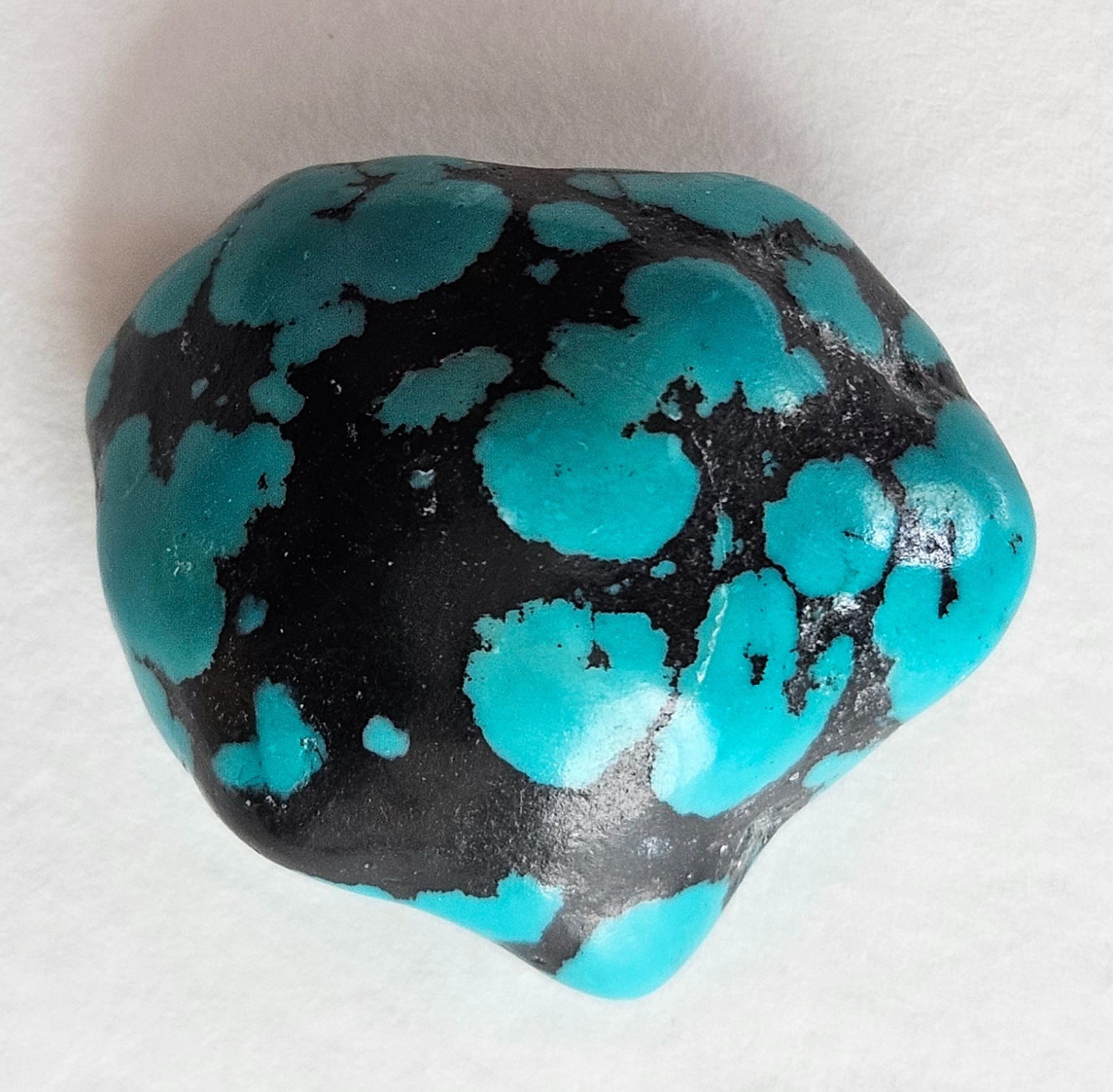 Beautiful Spider Web Turquoise