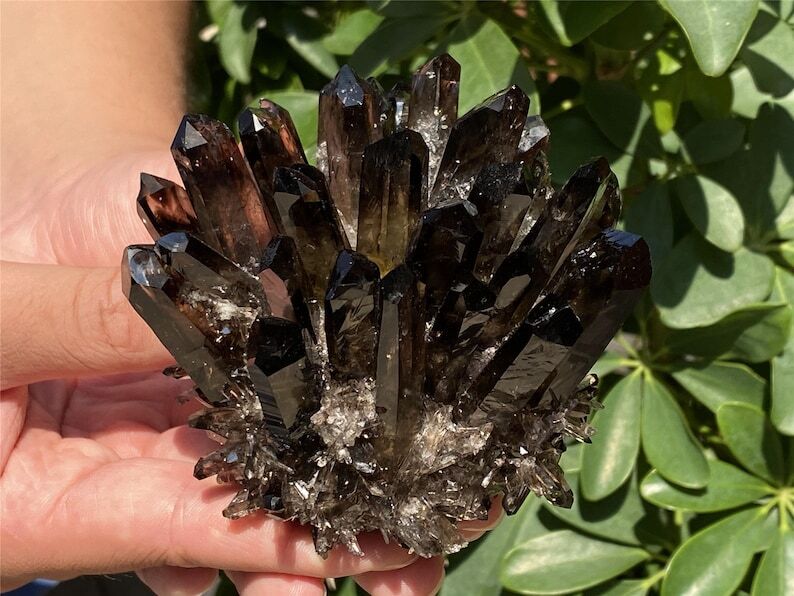 A+++ 300g+ Smokey Quartz Cluster Quartz Crystal Cluster Healing mineral gift 1pc