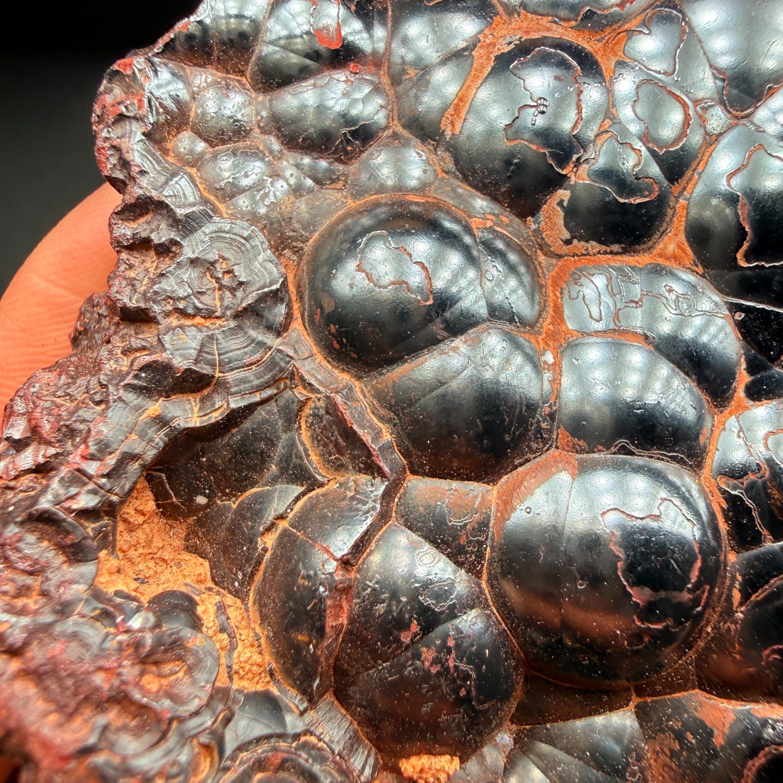 Botryoidal Hematite Specimen from Morocco 171g – Natural Iron Rose Formation