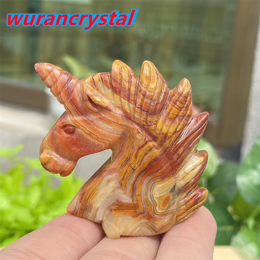 1pc Natural crazy agate unicorn skull quartz crystal carved reiki healing 2”