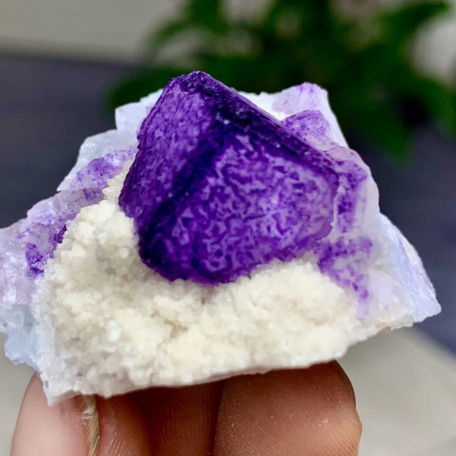 38G Natural Purple “QR Code”Fluorite Cluster Crystal Mineral Specimen/Guizhou