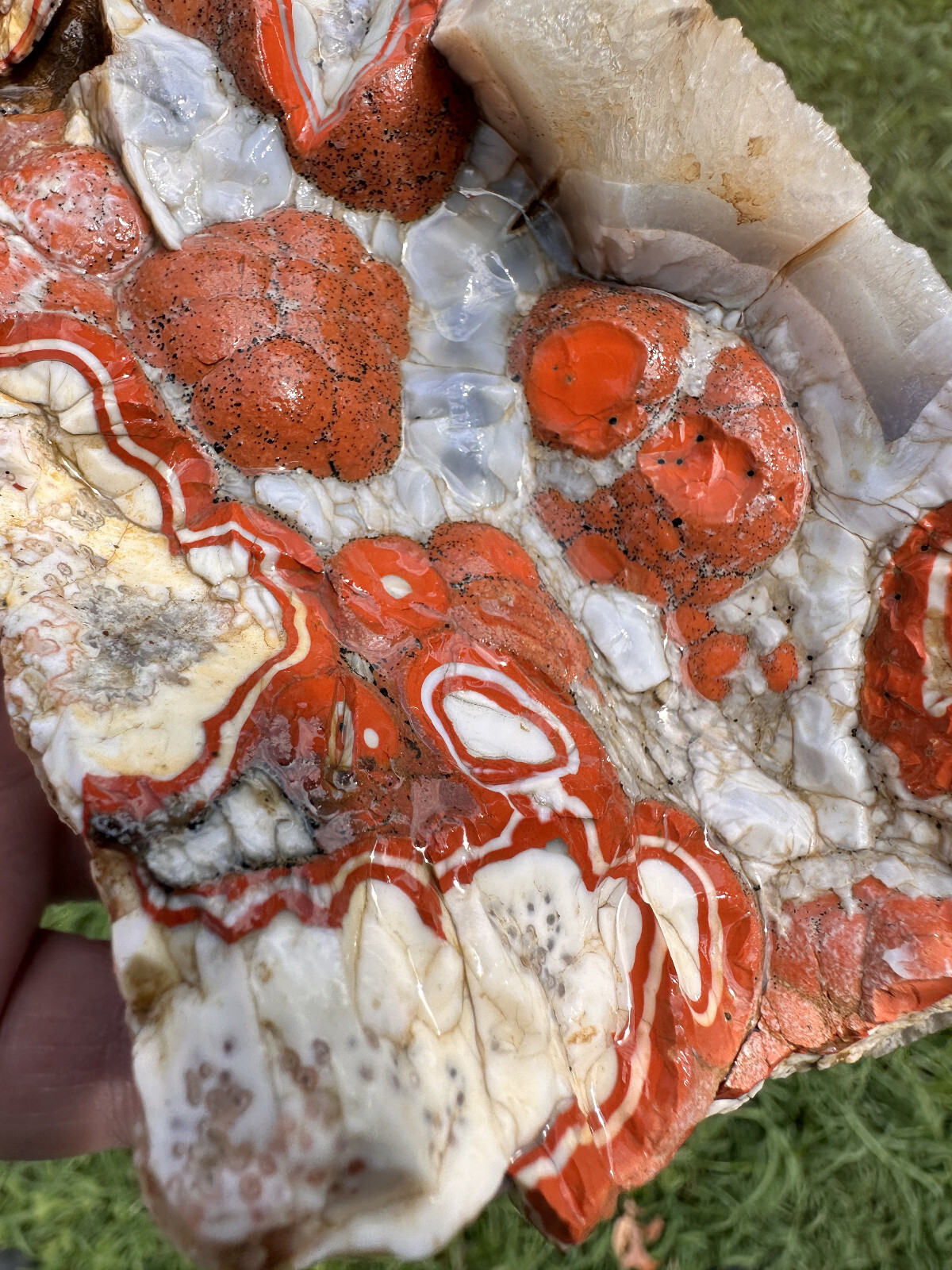 Large Natural Rare Kentucky Agate Rough from Estill County