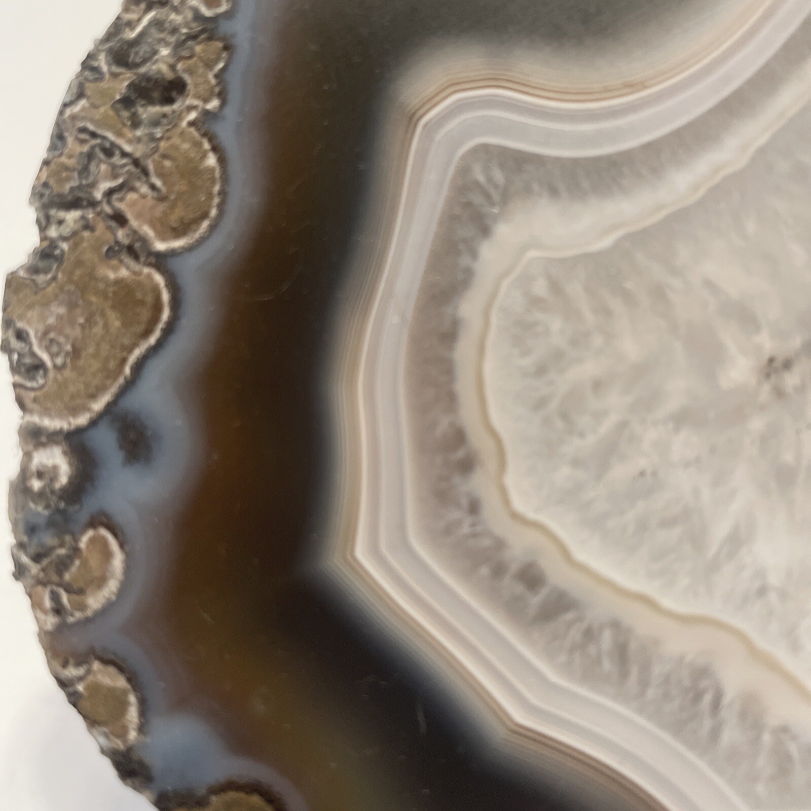 HUGE 3+ Pound Agate!! Cut, Not Polished BEAUTIFUL!!!