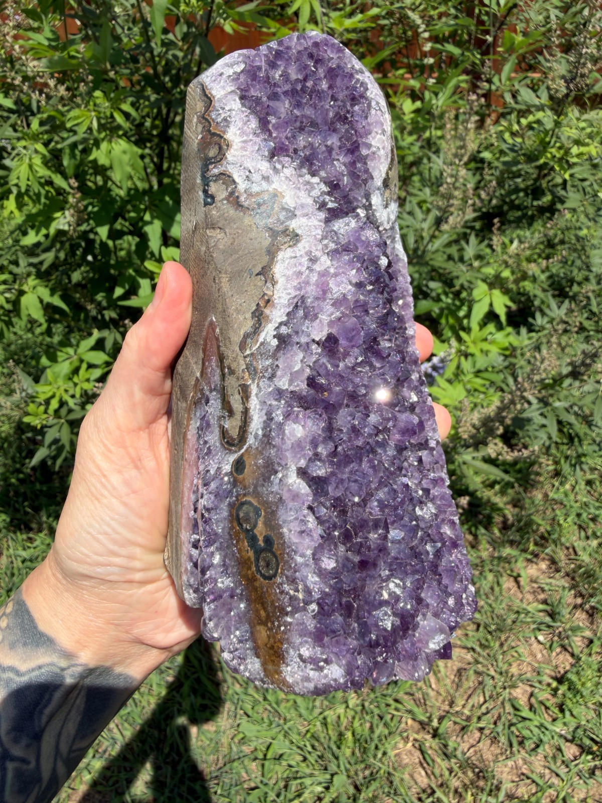 Uruguayan Amethyst Cluster 4lb 1.5oz 7.25″ Cut Base Free-Standing One of a Kind