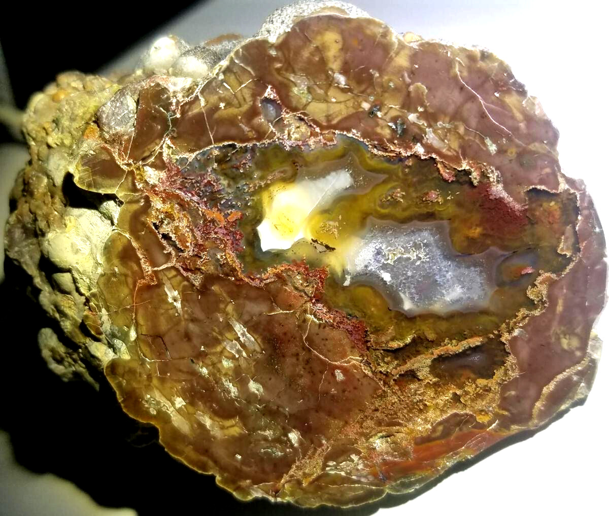 POLISHED RARE Oregon Mill Creek Thunderegg (No Cracks Agate)Ghost Crystal Plumes
