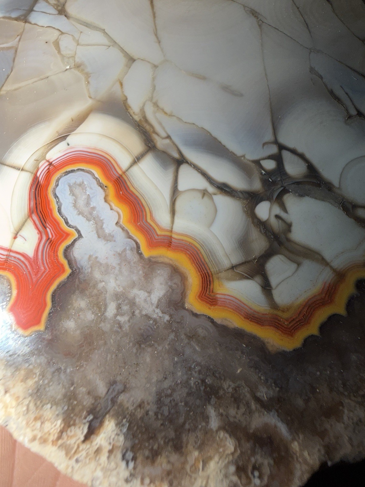 LARGE 1LB 12OZ Fire Kentucky Agate With Dark Fracture Lines Brilliant Contrast