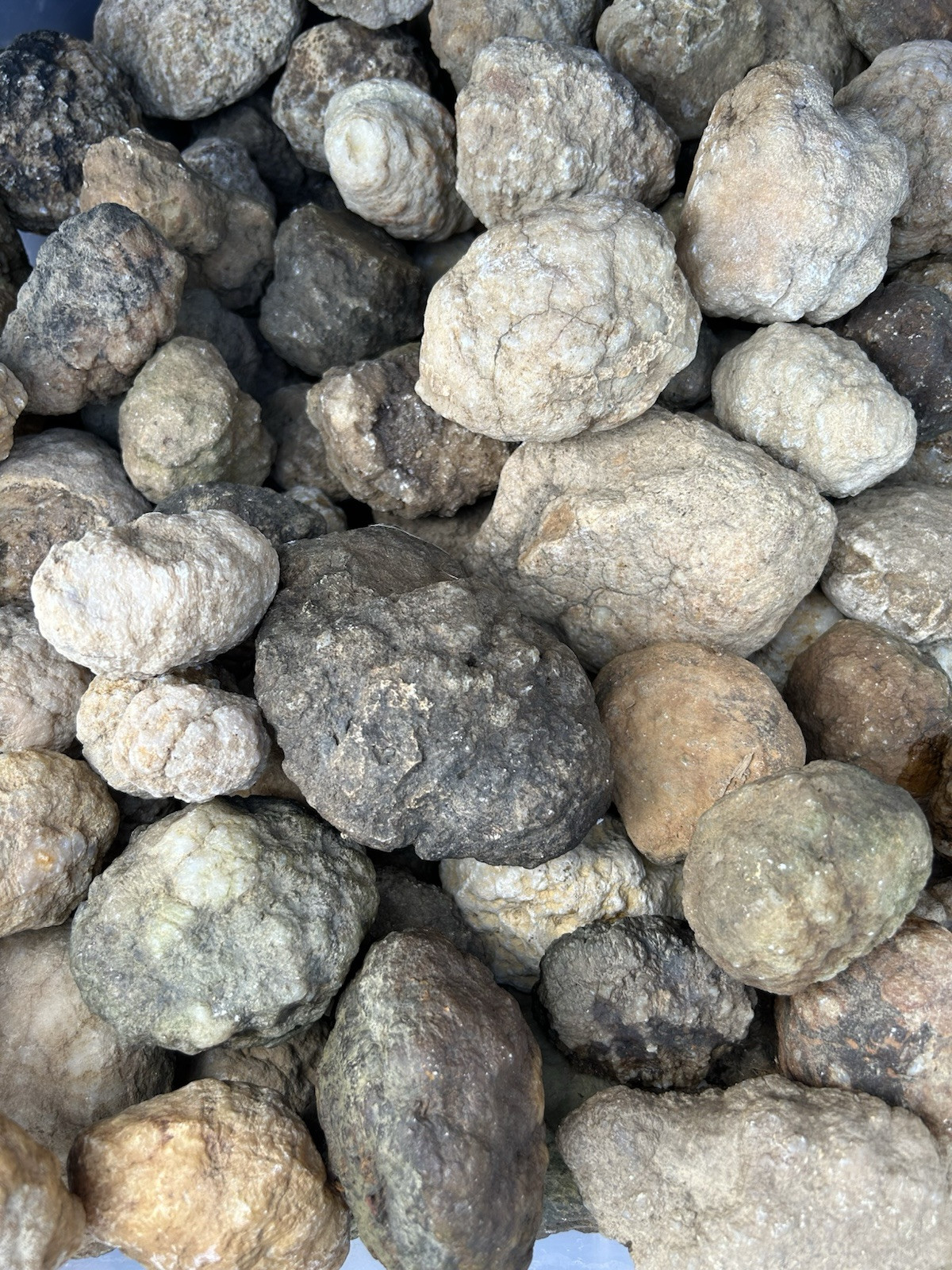 2 Lbs Bulk Lot Unopened Geodes/Nodules Natural Solid, Semi Solid-Break Your Own