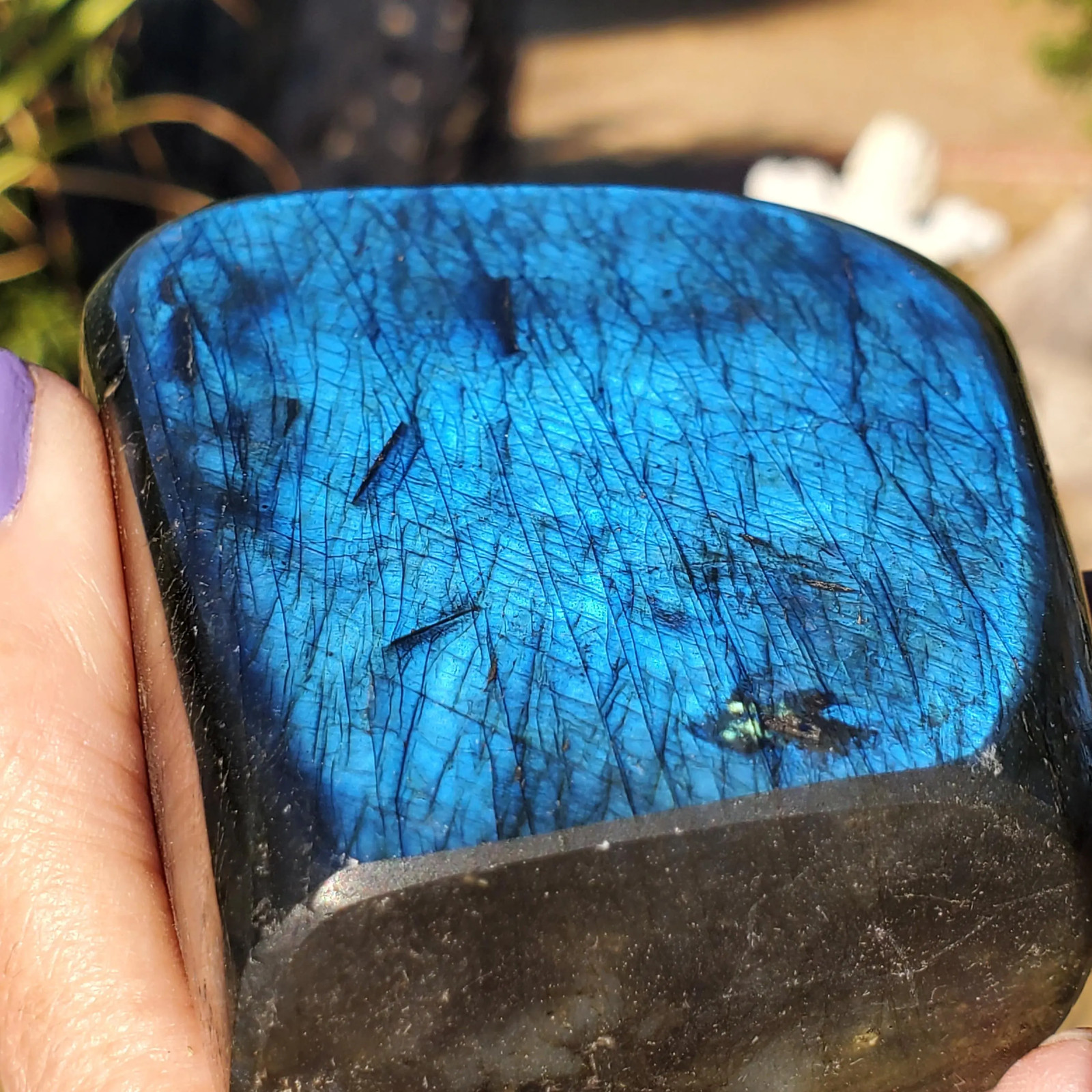 NO WAY! Double Colors on One Side Full Face Silver Green Labradorite Flash 340