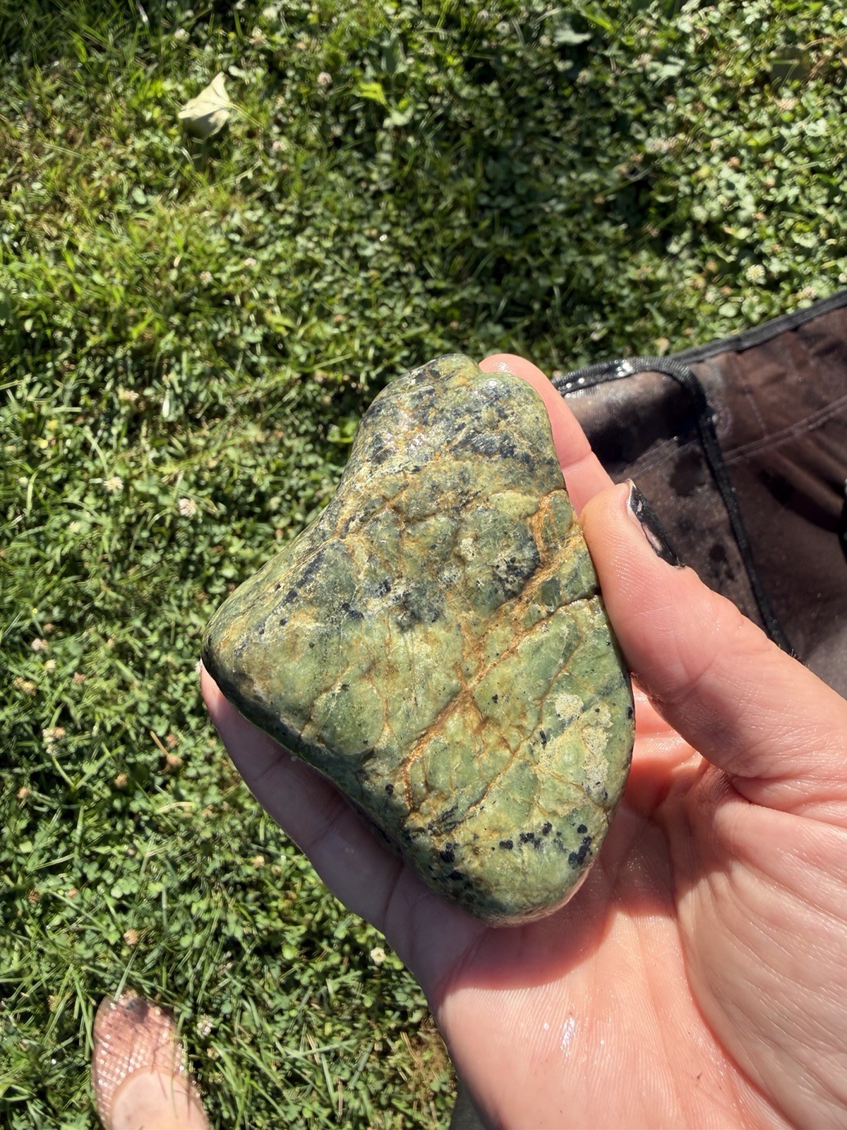Natural Green Stone with Black Inclusions & Iron Veins |13.7 oz Display Specimen