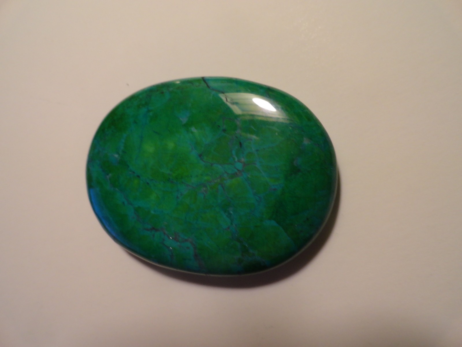 Polished Palm Stone lot