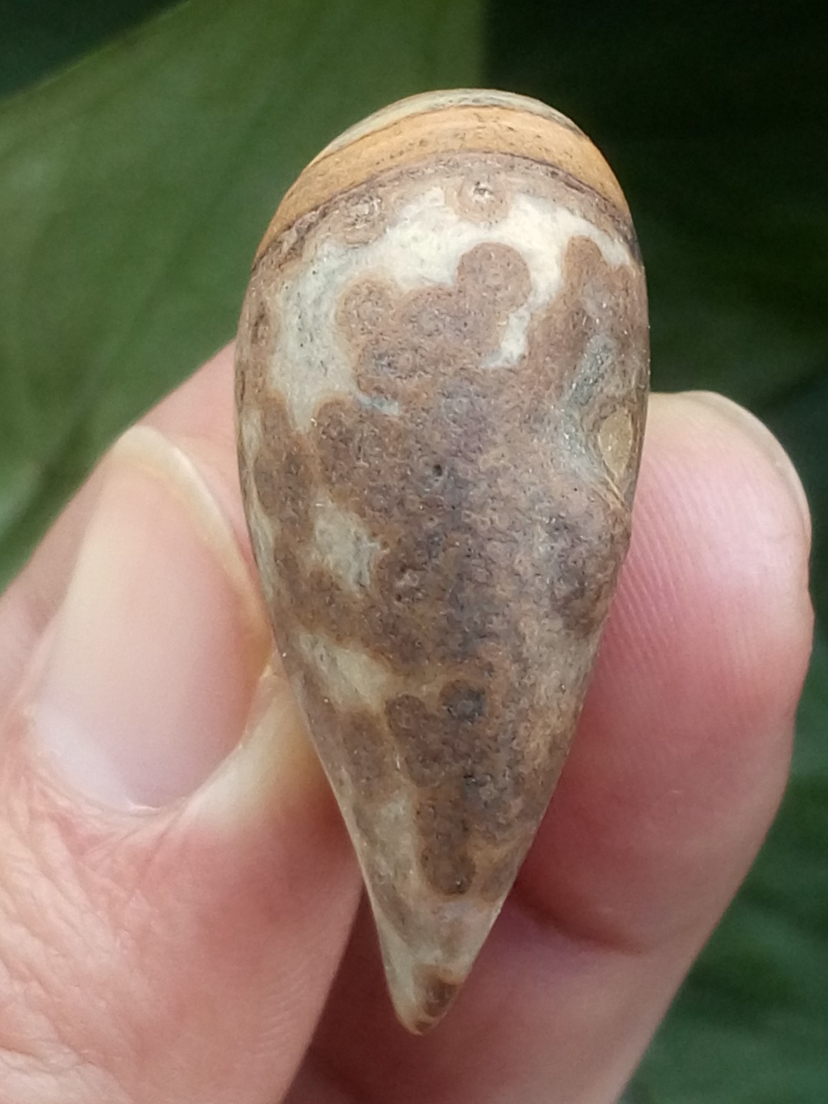 36mm Natural Gobi agate eye agate stone collection