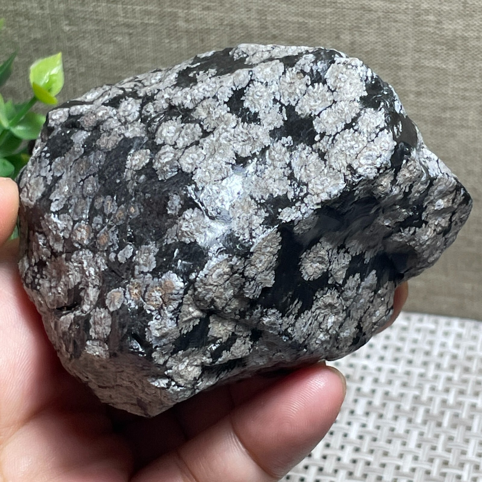 Snowflake Obsidian raw stone rock rough original specimen 300g A143