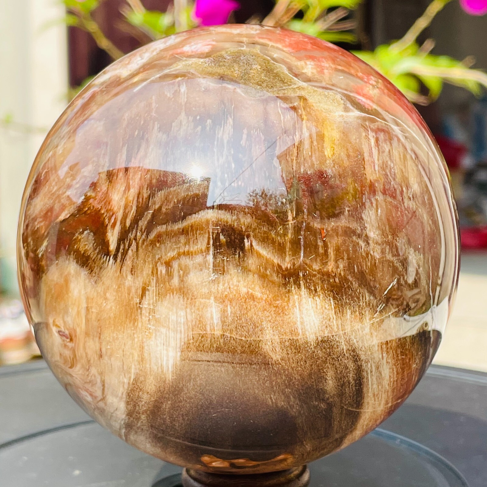 1196g Large Red Petrified Wood Crystal Ball Fossil Polished Sphere Specimen