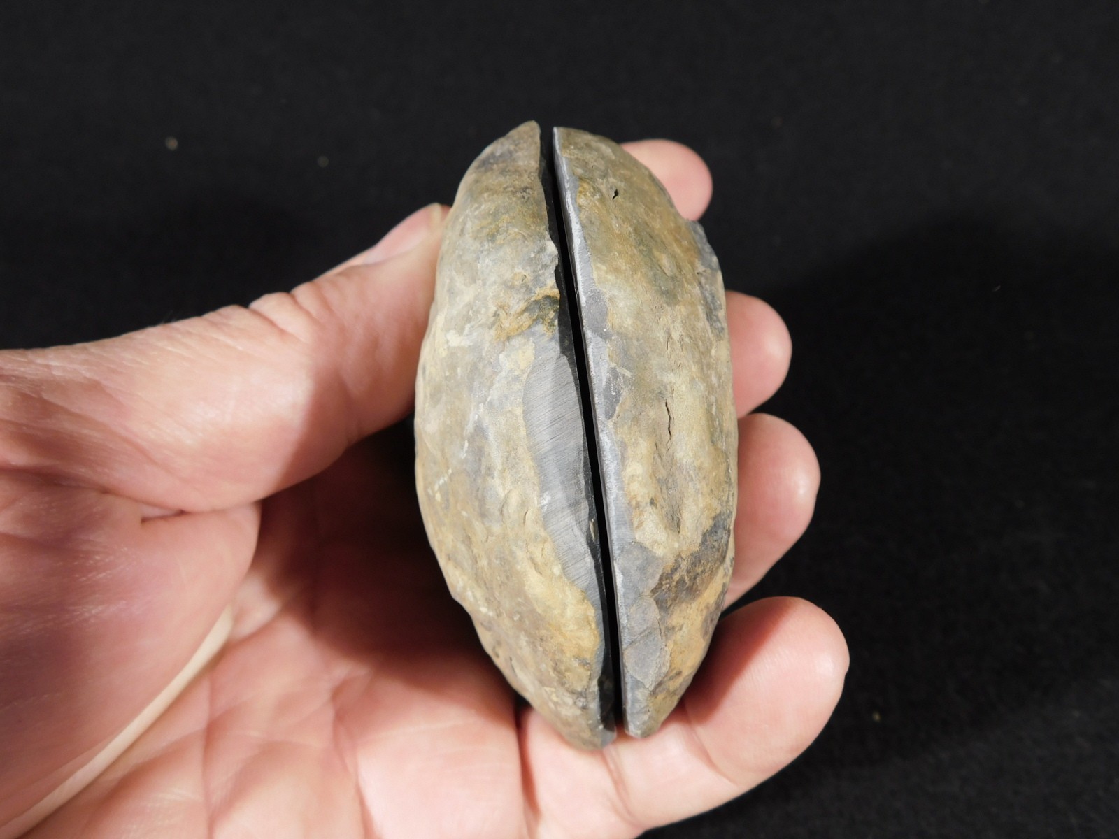 Larger! Cut and Polished SEPTARIAN Nodule 100% Natural Morocco 341gr