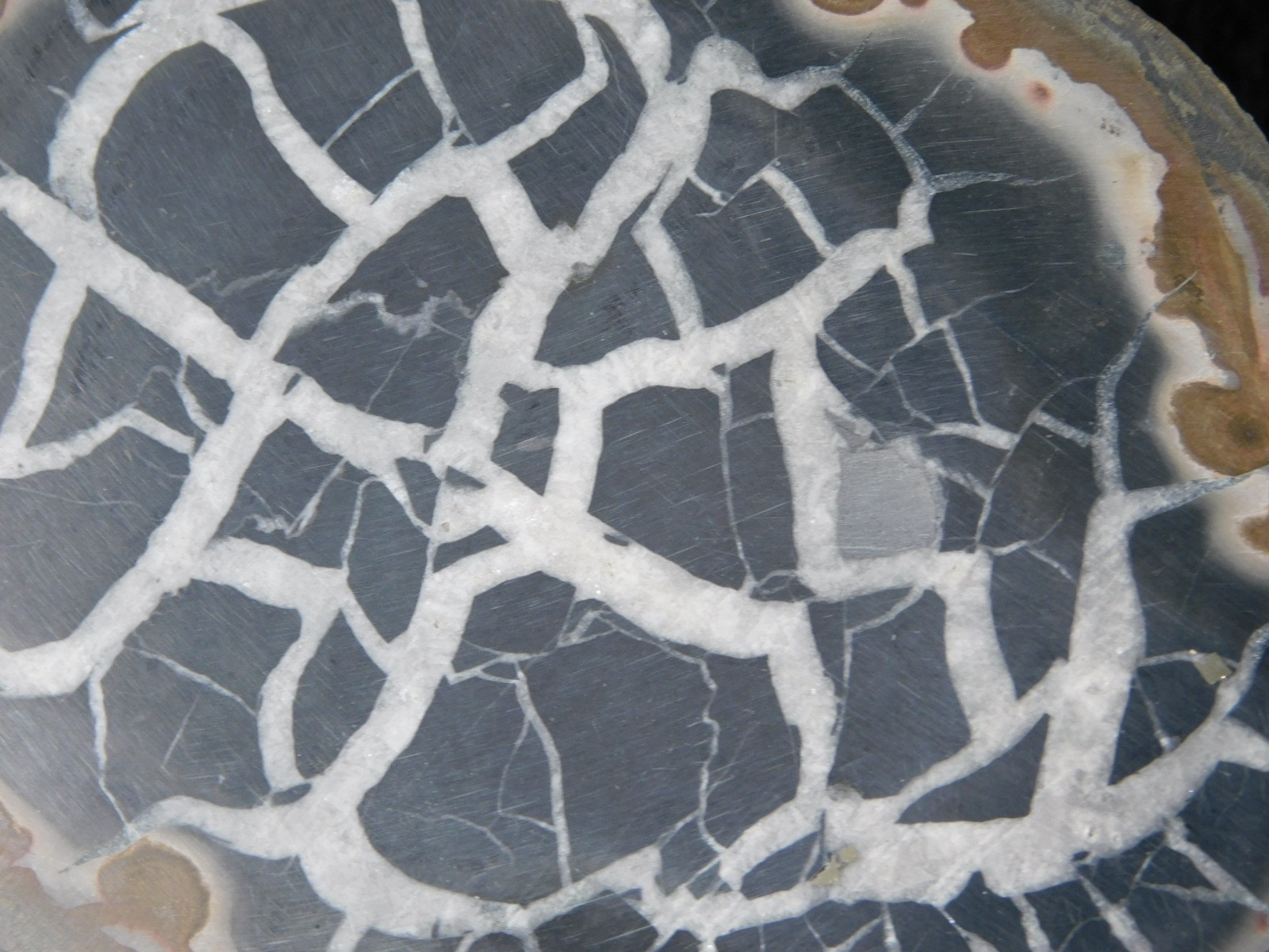 Neat! Lighting Like Pattern! Split and Polished SEPTARIAN Nodule Morocco 248gr