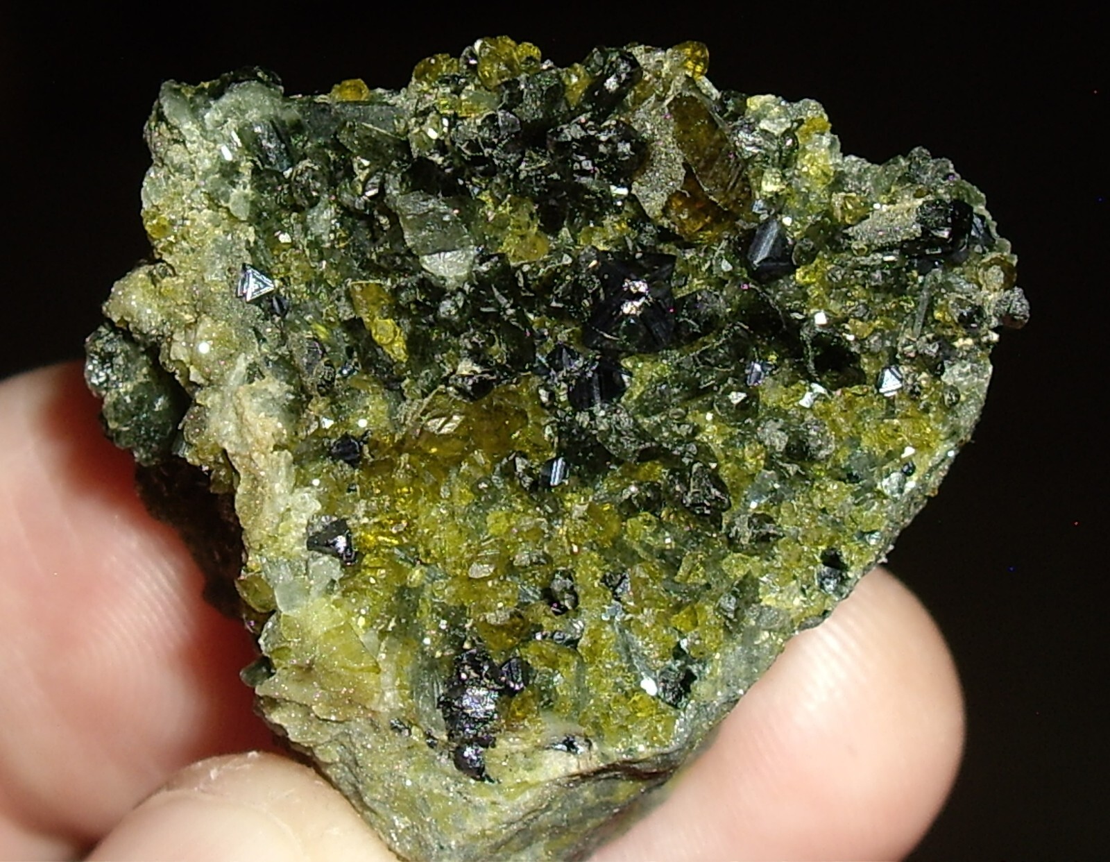 Awesome Magnetite, Vesuvianite, Garnet, and Diopside Crystals on Matrix 23.3g