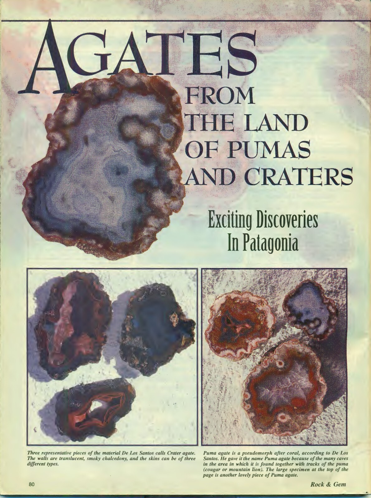 Puma agate rough nodules 4 pounds