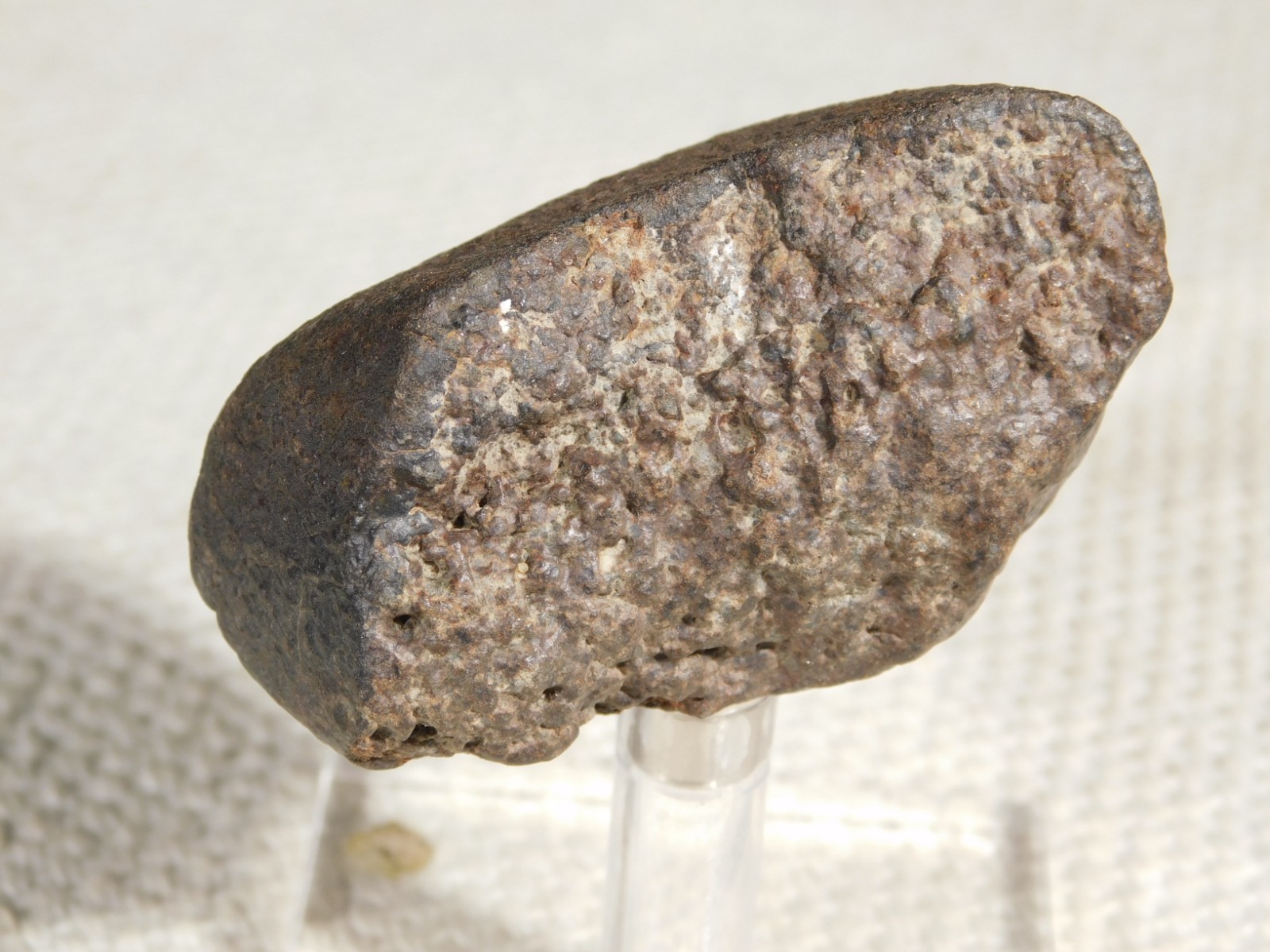 Stony N.W.A. METEORITE 100% Natural FELL in Libya 98.4gr