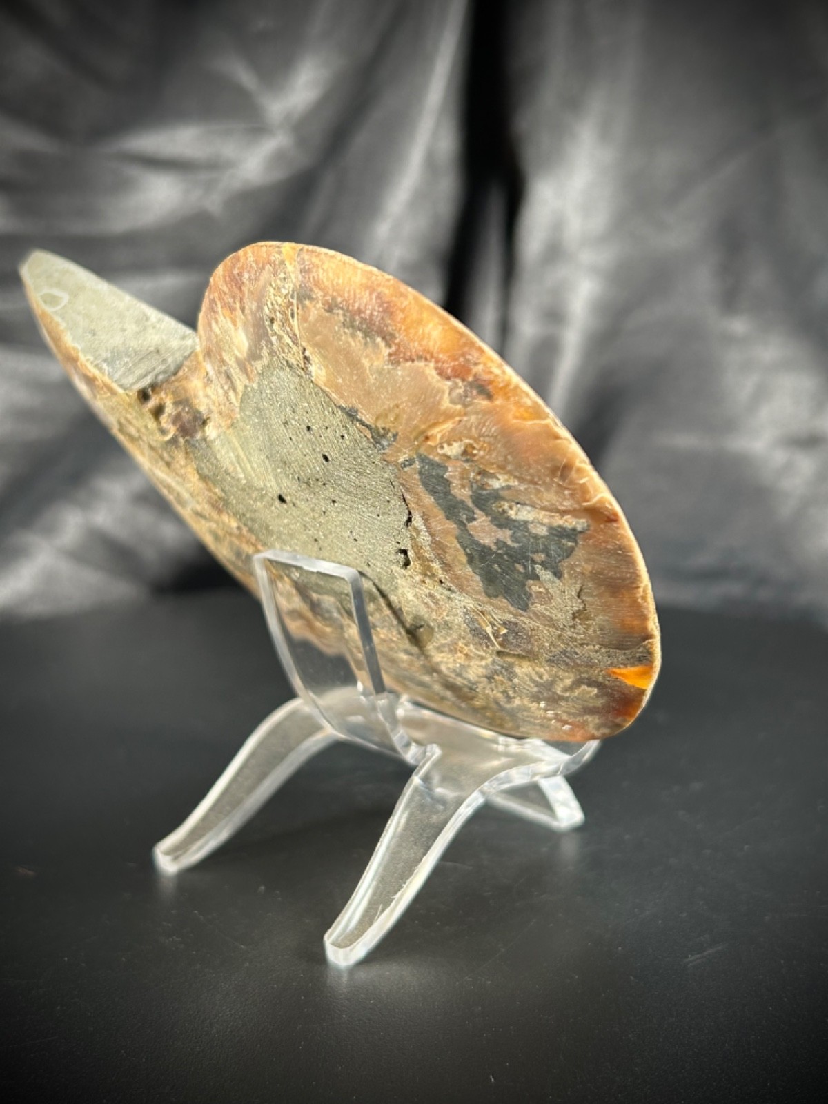 4.32″ Sliced Ammonite Half With Acrylic Stand 5.5oz (157 grams)