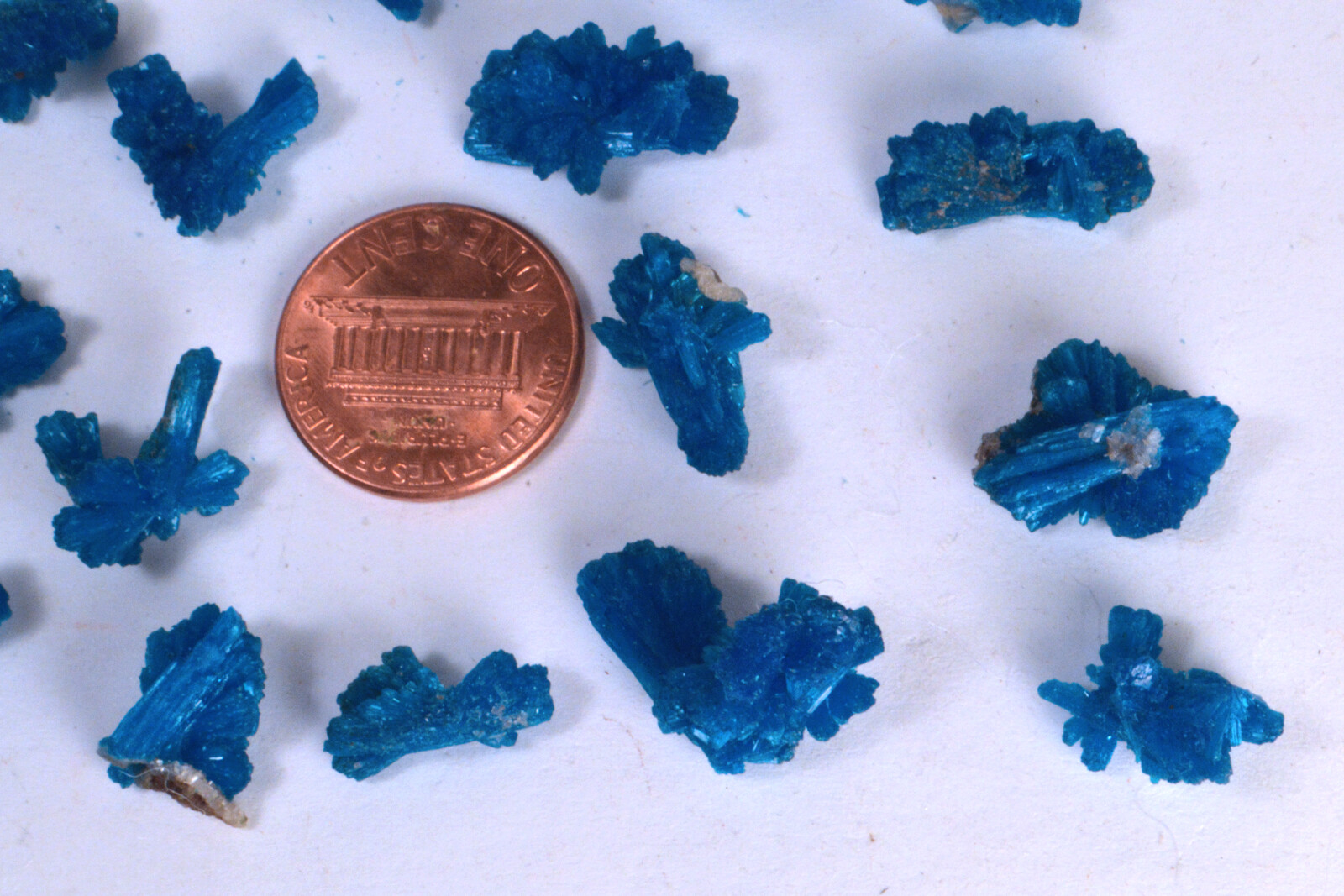 #9080 Cavansite-India–Large “Bowties”/ Unusual shapes [ONE PIECE ONLY]