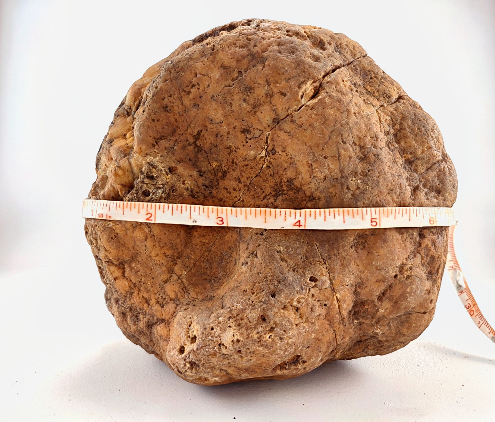 7″ Unopened Kentucky Geode Nodule Natural Quartz Crystal 6.8 LB Dense Specimen