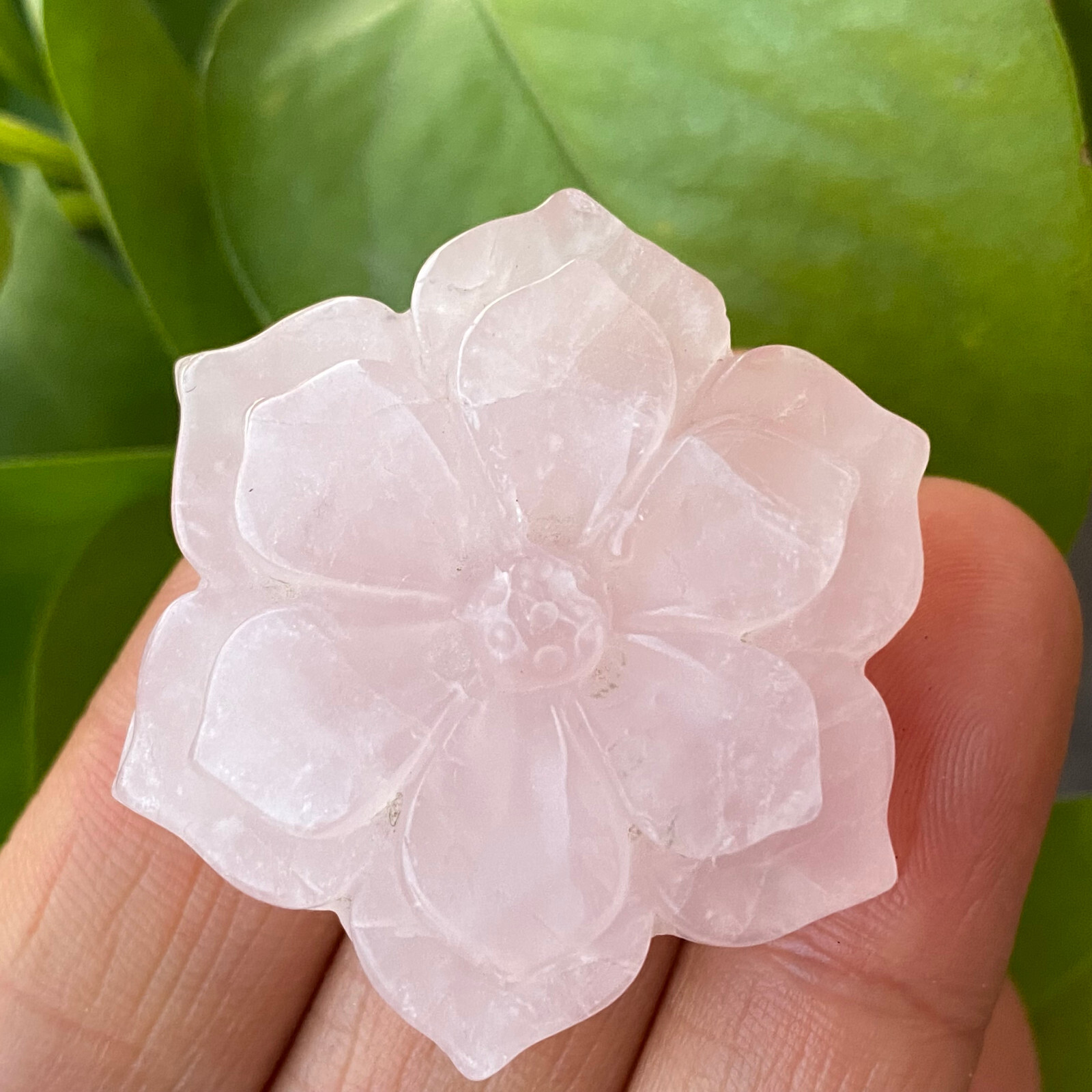 Natural pink rose Quartz flowers skull hand carved reiki Healing 1pc