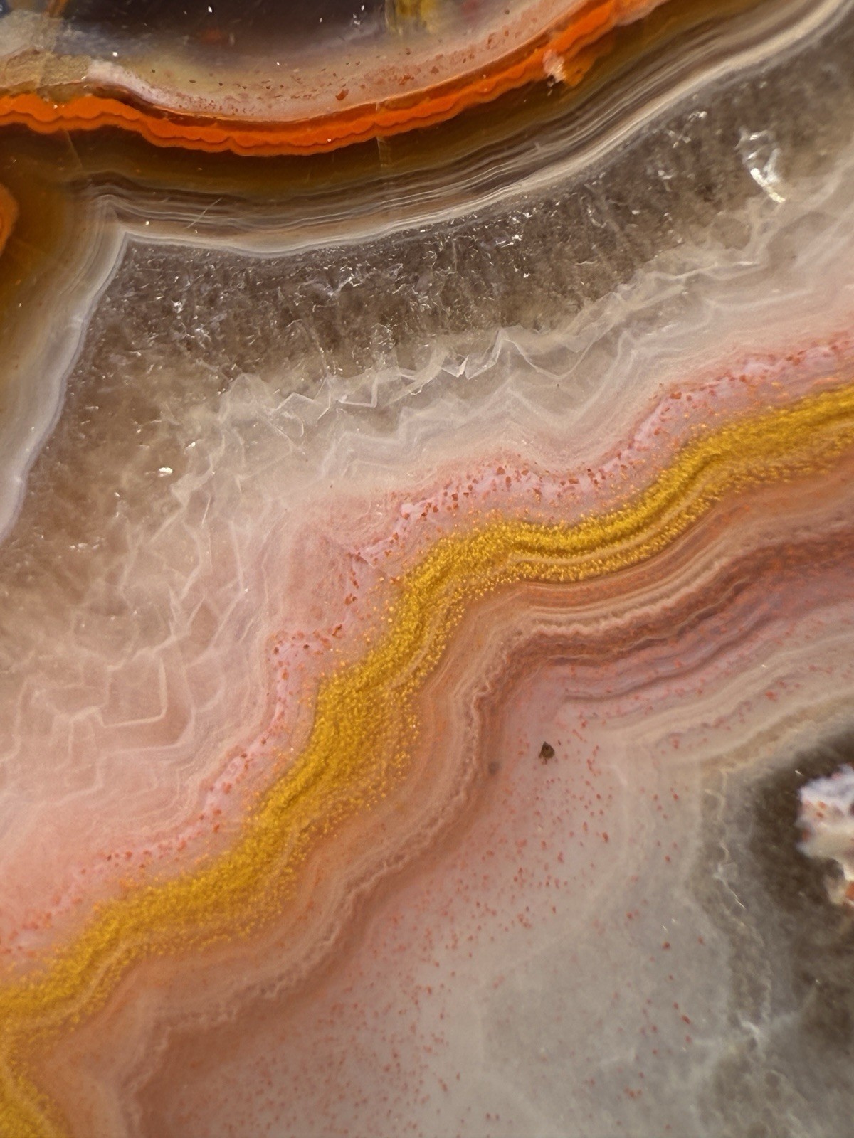 SEE VIDEO High-Grade Multicolor Moroccan Agate | High Atlas | Collector Specimen