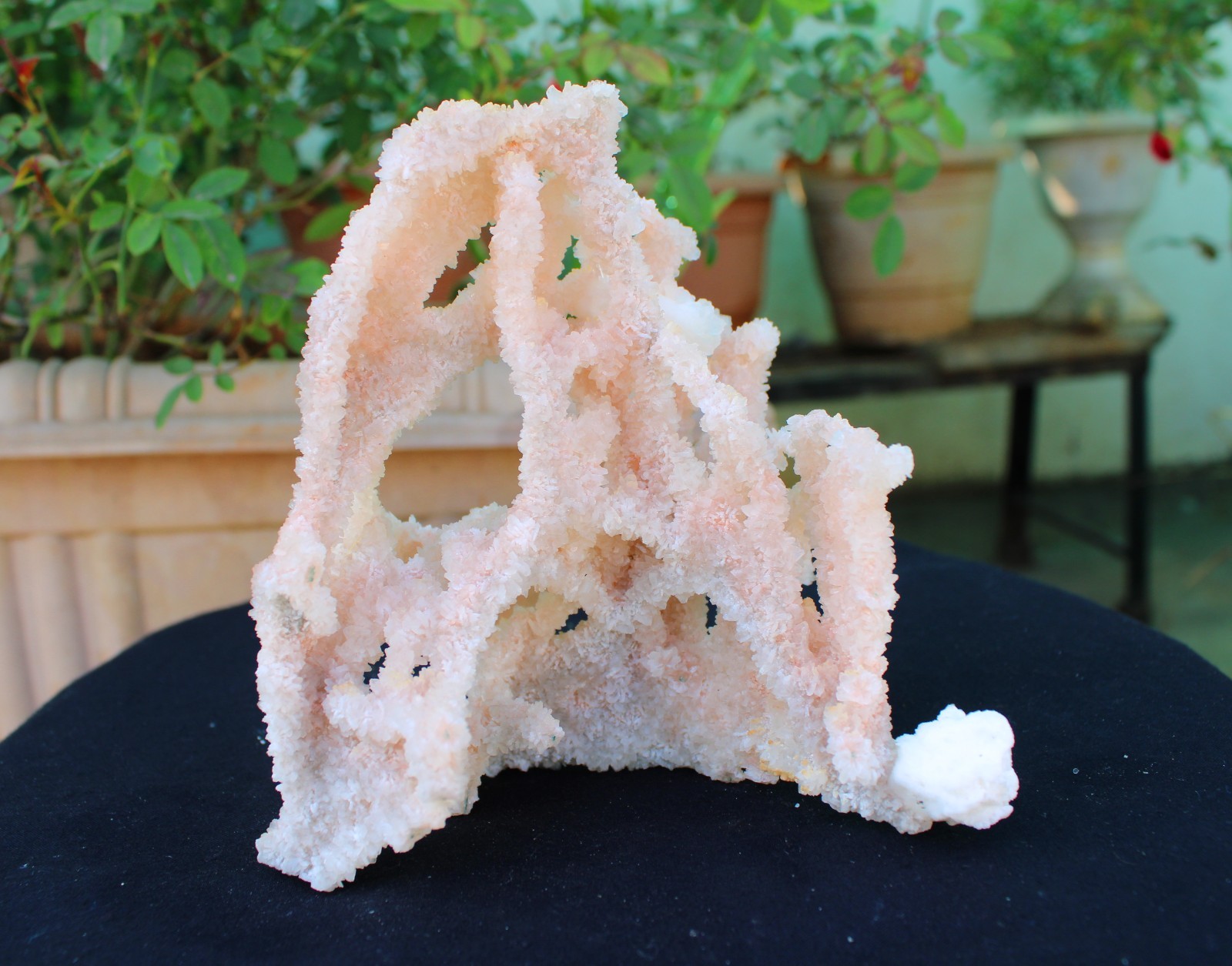 Apophyllite Crystals With Chalcedony Coral Minerals Specimen #A9