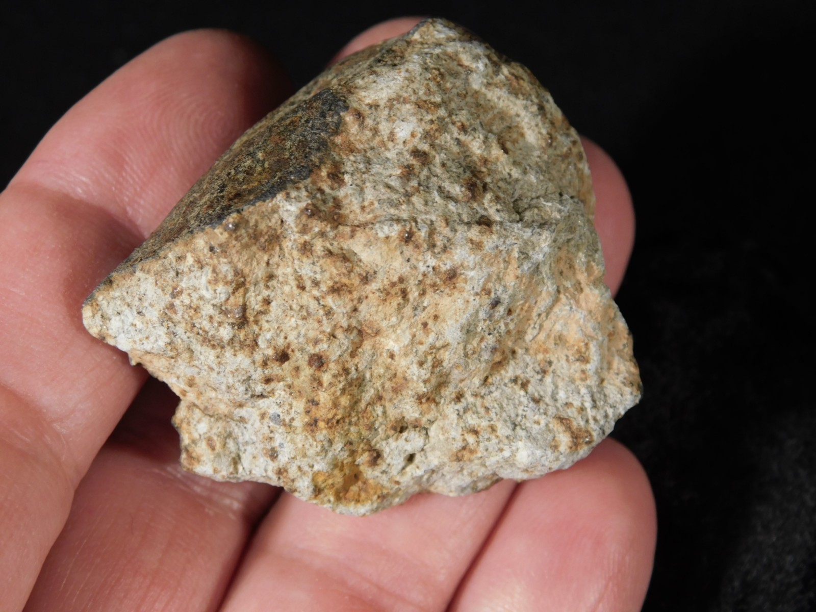 Classified NWA 8245 METEORITE 100% Natural FELL in Erfoud, Morocco 63.2gr