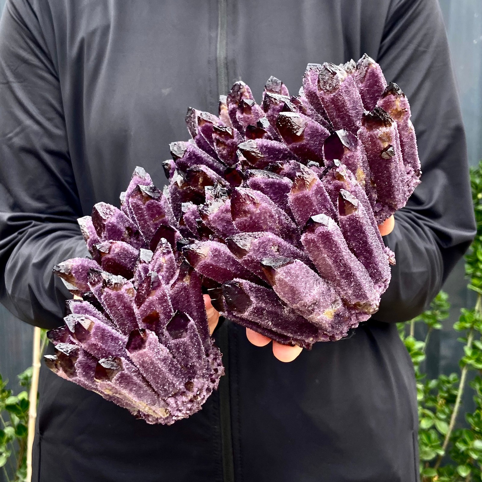 5.68LB New Find purple Phantom Quartz Crystal Cluster Mineral Specimen Healing