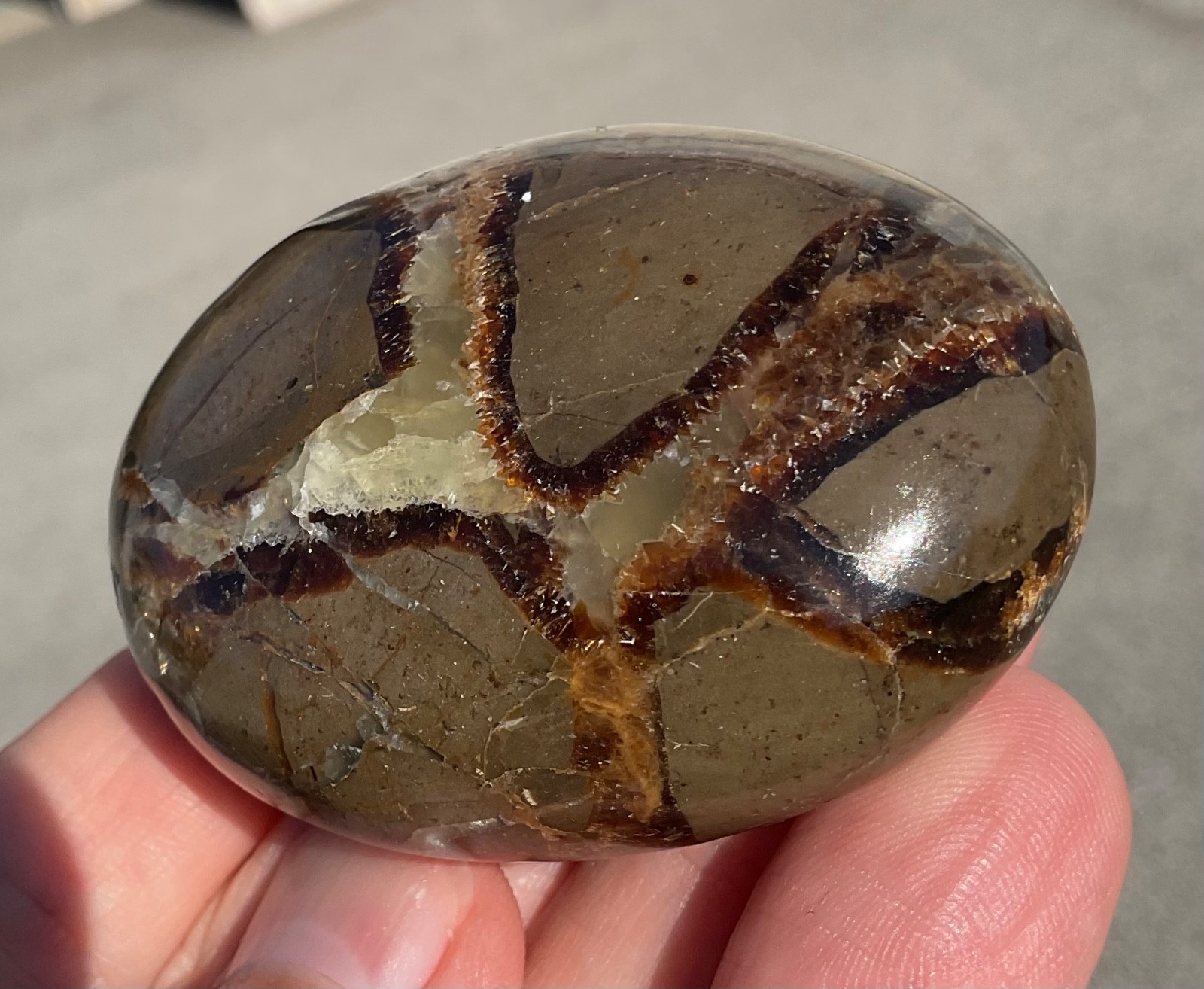 118g Polished Septarian Palmstone Dragon Egg Geode Fossil Worry Stone