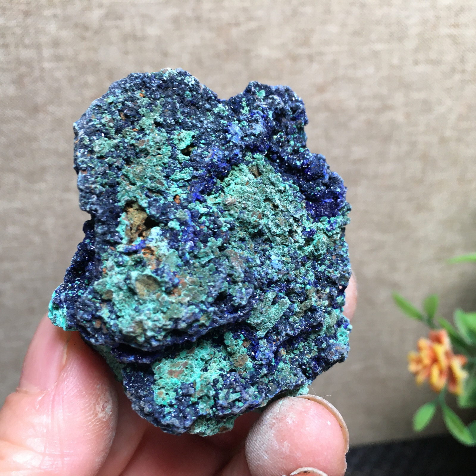 68g Natural Malachite and blue copper ore symbiotic specimens fd139