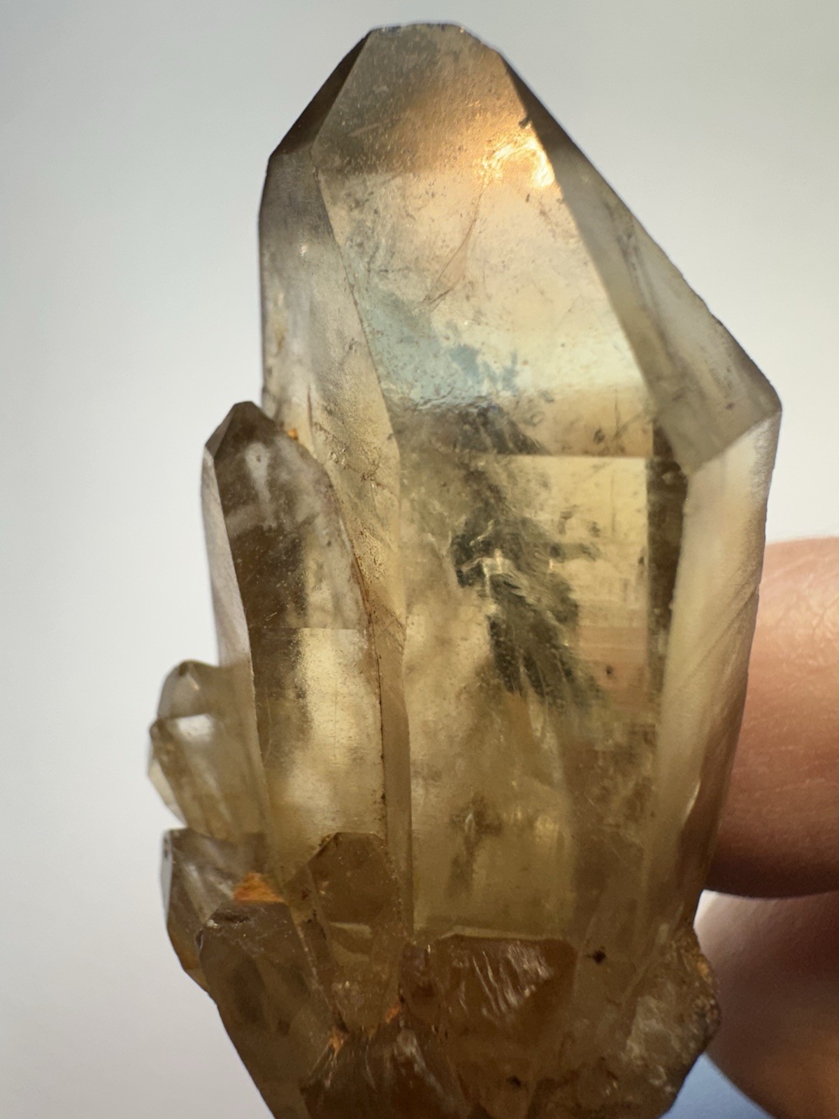 Natural Citrine Crystal Cluster Point Mineral Specimen Congo Africa