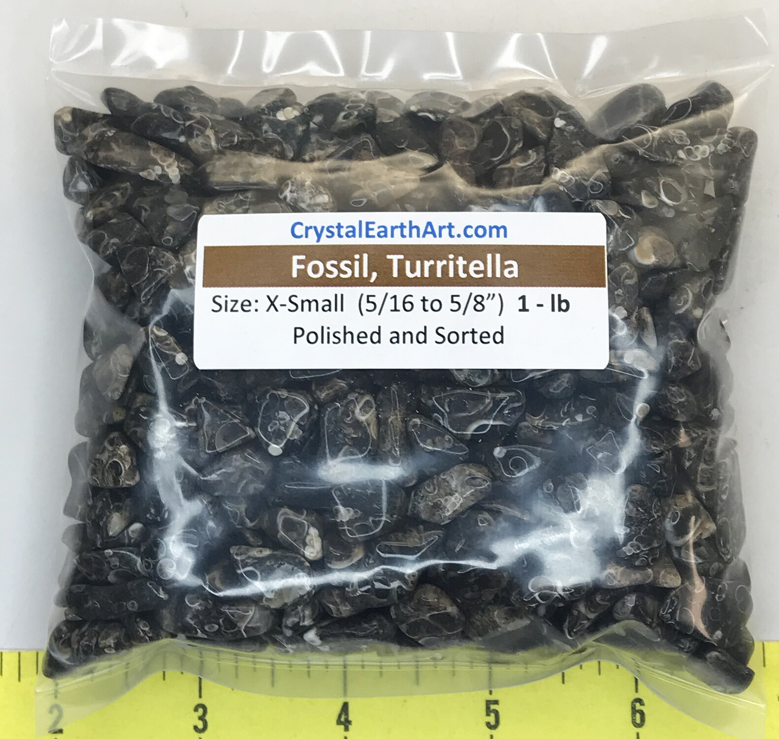 FOSSIL TURRITELLA AGATE X-SMALL ( 5/16″ to 5/8″ ) fossil polished stones. 1 lb
