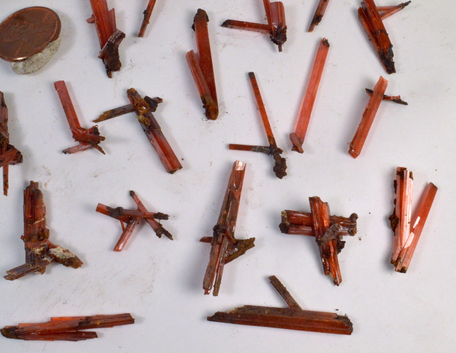 #12,249 Crocoite Clusters – Adelaide Mine, Tasmania, Australia [ONE PIECE ONLY]