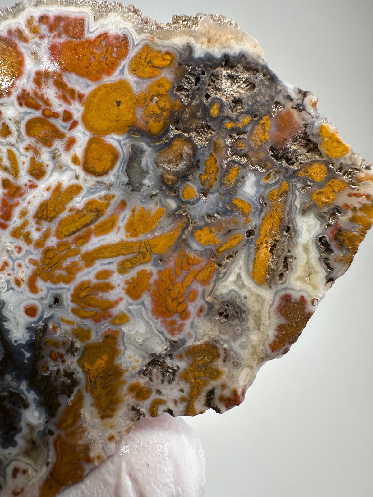 RARE Wingate Pass Plume Agate End-Cut Slab (a.k.a. Death Valley Plume)