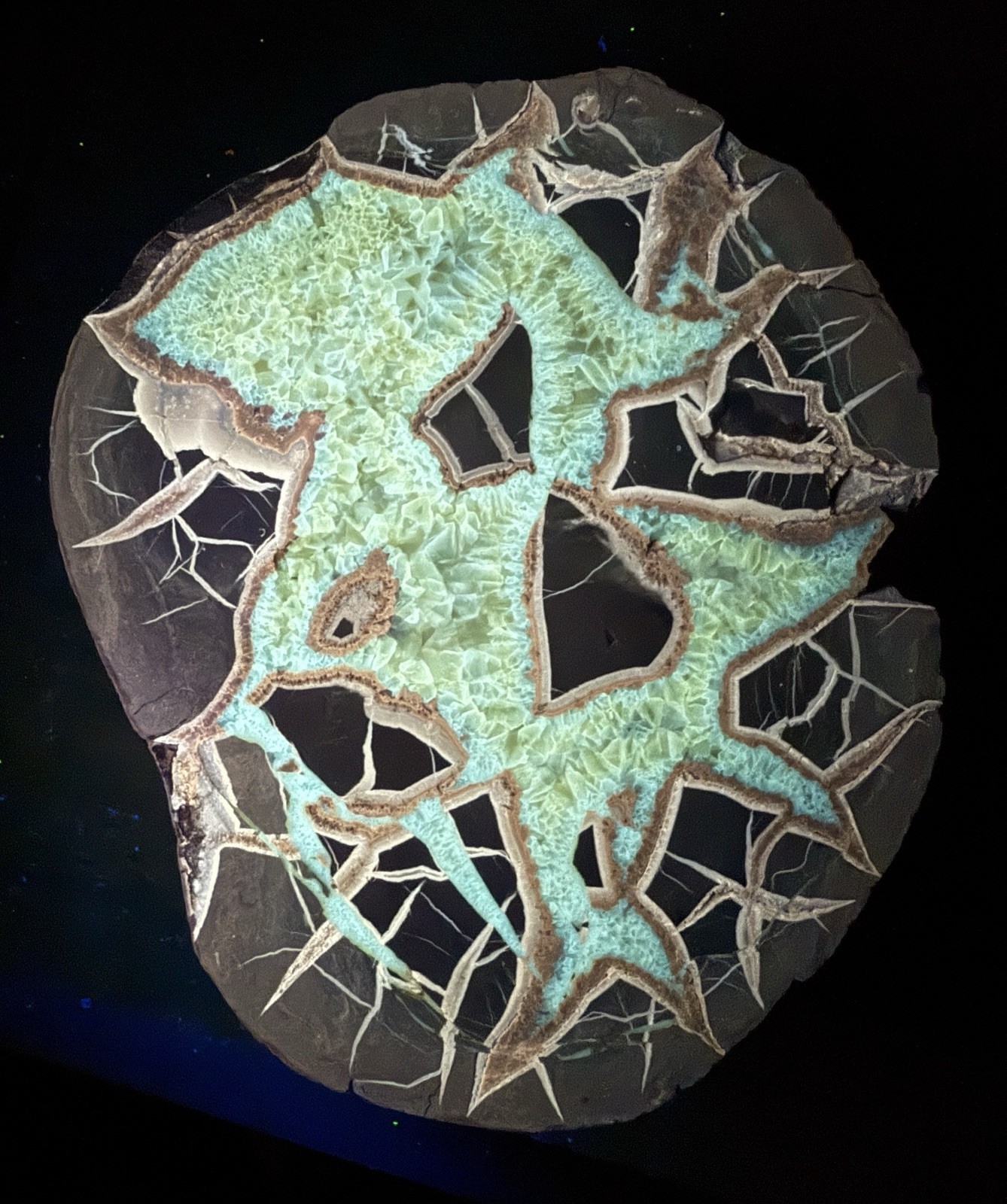 XL 5.5” Utah Septarian Nodule Geode Lightning Pattern UV Reactive Phosphorescent