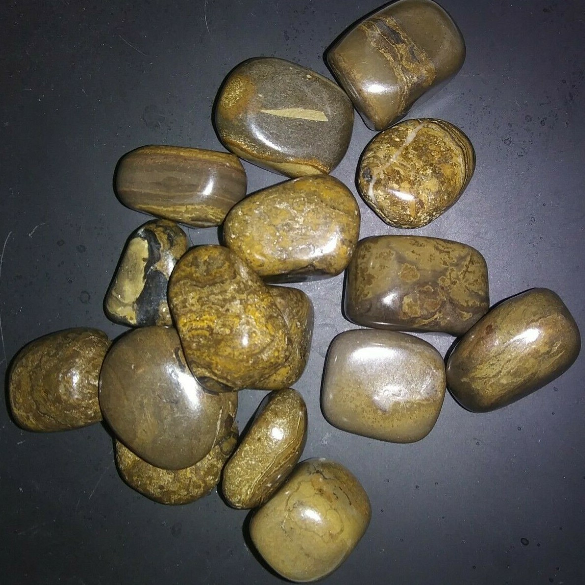 1 Stromatolite Tumbled Gemstone 7/8″ – 1-1/8″ Med./Lg. Sz.