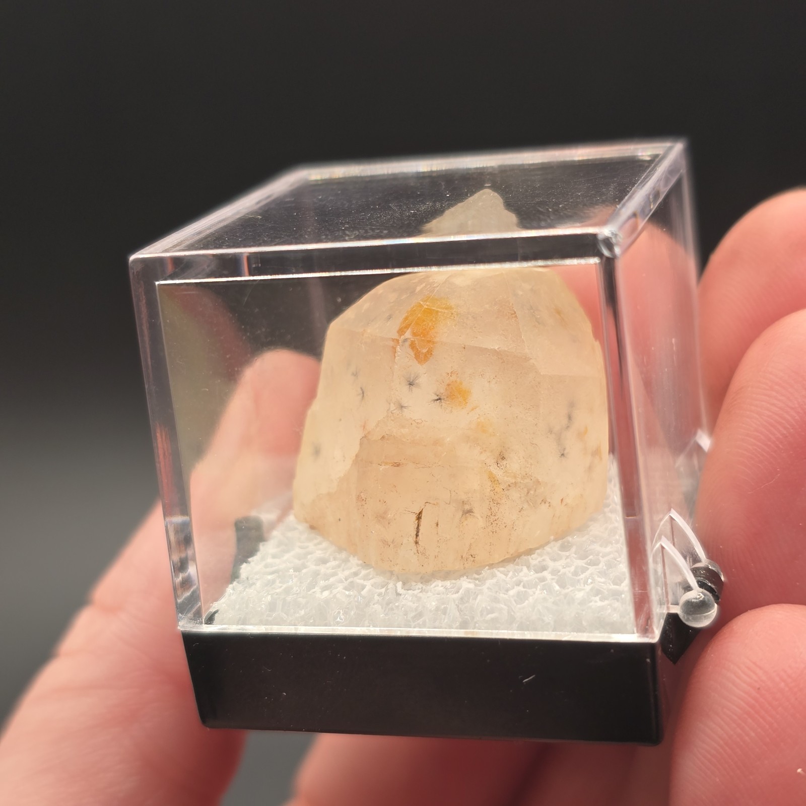 Hollandite Spider Quartz Point Crystal Madagascar Gemstone Specimen in Perky Box
