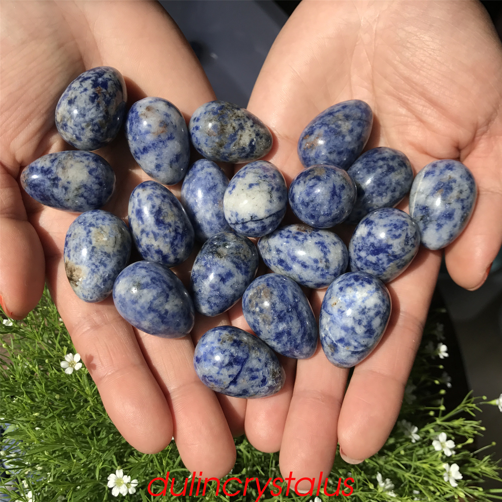 Natural Dot stone eggs quartz crystal pendant mineral carved skull reiki 10pcs