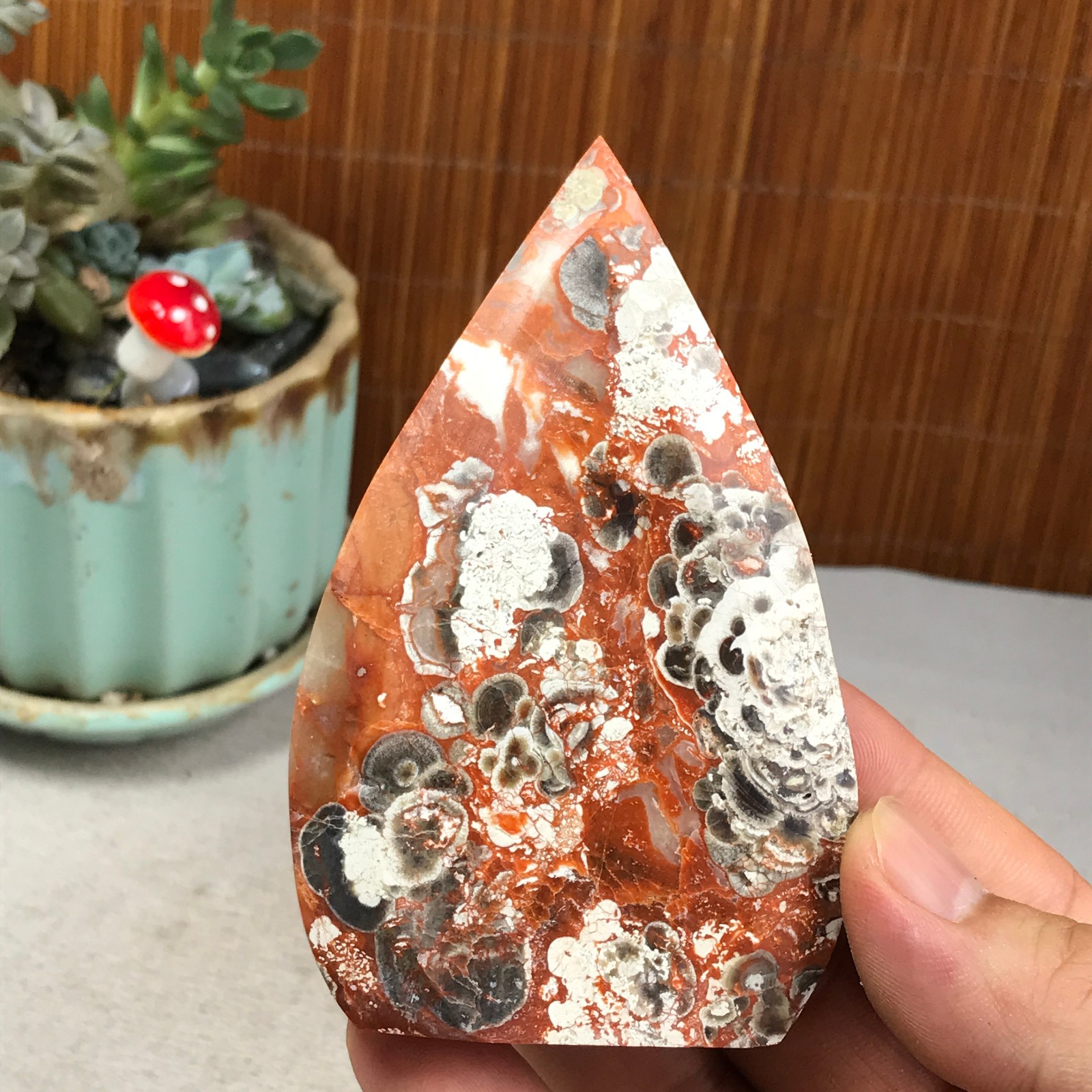 Natural money Mexico agate hand carve leaf Crystal Specimen free standing A6266